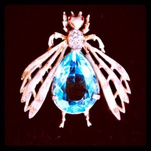 Vintage Reja Bug brooch. By Solomon Finkelstein.
